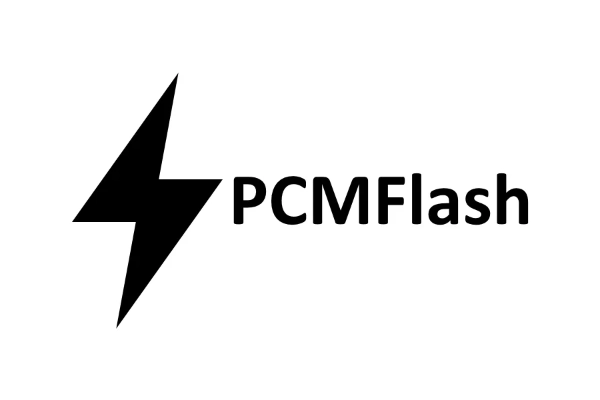 PCM Flash.webp
